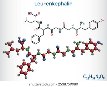 Leu - enkephalin molecule. Endogenous opioid peptide. Structural chemical formula and molecule model. Vector illustration