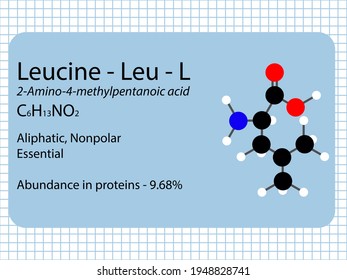 Leucine - Leu - L - Essential Amino Acid molecular formula, chemical structure, abundance in proteins. 2D Ball and stick model on school paper sheet background.

