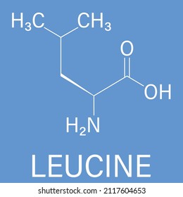 Leucine Or L-leucine, Leu, L Amino Acid Molecule. Skeletal Formula.