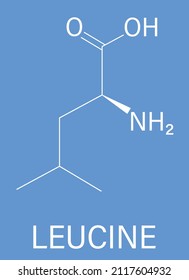 Leucine Or L-leucine, Leu, L Amino Acid Molecule. Skeletal Formula.