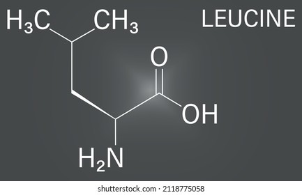 Leucine Or L-leucine, Leu, L Amino Acid Molecule. Skeletal Formula.