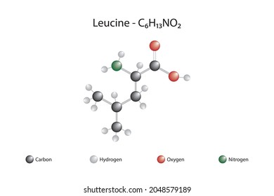 Leucine molecular formula. Leucine is one of the 20 amino acids encoded by DNA.