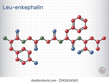 Leu-enkephalin molecule. Endogenous opioid peptide. Molecule model. Sheet of paper in a cage. Vector illustration