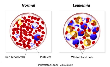 2,453 Cell differentiation Images, Stock Photos & Vectors | Shutterstock