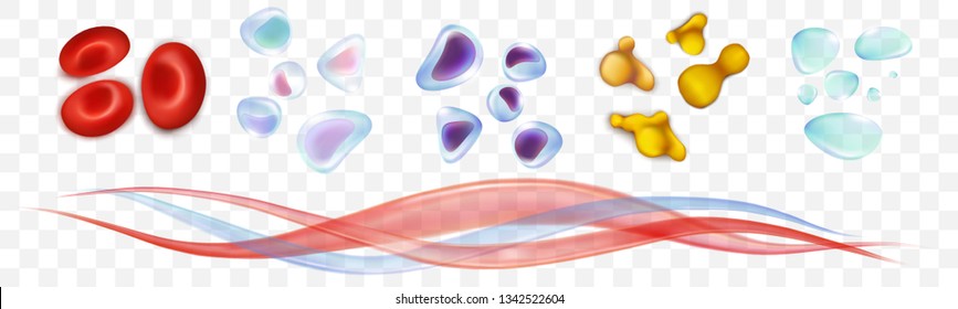 Leukocytes, erythrocytes, platelets, plasma. Set blood cells. Vector ilustration isolated on a white transparent background.