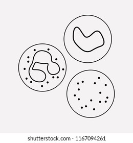 Leukocytes icon line element. Vector illustration of leukocytes icon line isolated on clean background for your web mobile app logo design.