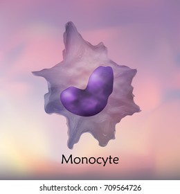 Leukocytes. Monocyte. White Blood Cell. Blurred Background, Vector Medical Illustration