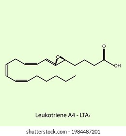 Leukotriene A4 - Leukotriene biomolecule molecular formula. Skeletal molecule structure vector eps10.