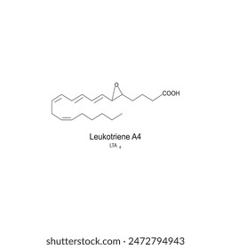 Leukotriene A4 skeletal structure diagram.Leukotriene compound molecule scientific illustration on white background.