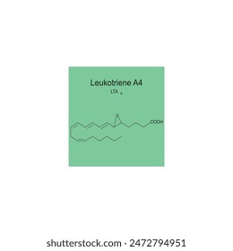 Leukotriene A4 skeletal structure diagram.Leukotriene compound molecule scientific illustration on green background.