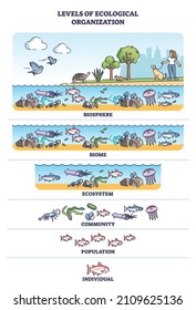 Levels of ecological organization with living organism division outline concept. Labeled educational individual, population, ecosystem, biome and biosphere classification system vector illustration.