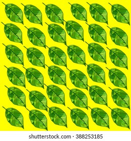 Leves on a yellow background
Leves of triangles on a yellow background
