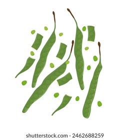 Levitation bitter bean petai pete or stink bean vector illustration logo