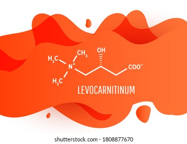 Levocarnitinum-Strukturchemische Formel mit orangefarbener flüssiger Farbverlauf-Form mit Kopienraum auf weißem Hintergrund