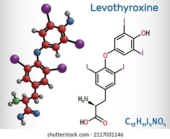 Levothyroxine, L-thyroxine molecule. It is synthetic form of the thyroid hormone thyroxine, T4 hormone, used to treat hypothyroidism. Structural chemical formula, molecule model. Vector illustration