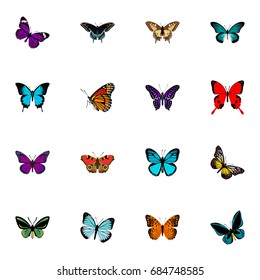  Lexias, Pipevine, Tropical Moth And Other Vector Elements. Set Of Beauty Symbols Also Includes Butterfly, Tiger, Swallowtail Objects.