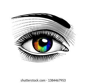 LGBT love symbol. Luxurious rainbow eyes with perfect eyebrows and full lashes. Vintage engraving stylized drawing. Vector illustration.