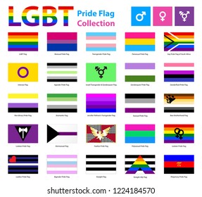 what is the official gay flag