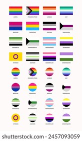 LGBTQ Flags Lesbian Gay Bisexual Trans Queer Pride Vector