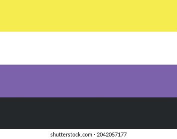 LGBTQ + Non-Binary Flag for the rights of pride and sexuality Vector