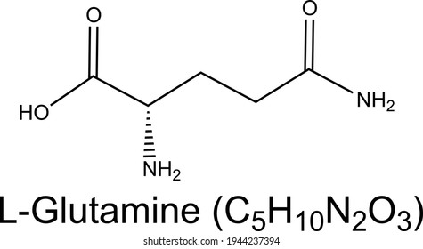 L-Glutamine amino acid molecule chemical formula