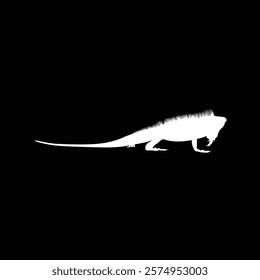 lguana vector animal illustration black background