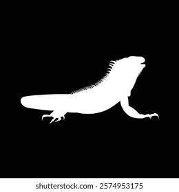 lguana vector animal illustration black background