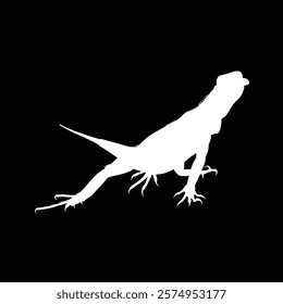 lguana vector animal illustration black background