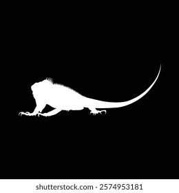 lguana vector animal illustration black background