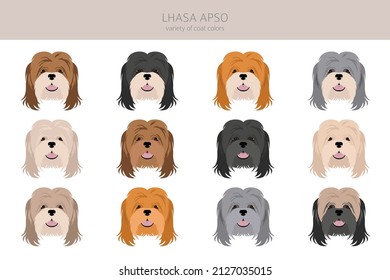 Lhasa Apso clipart. Different poses, coat colors set.  Vector illustration