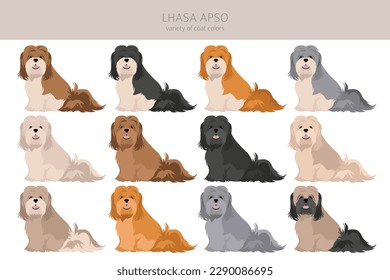 Lhasa Apso clipart. Different poses, coat colors set.  Vector illustration