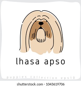 Lhasa Apso : Dog Breed Collection : Vector Illustration