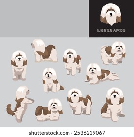 Lhasa Apso Dog Desenho Animado Vetor Ilustração Cor Variação Conjunto