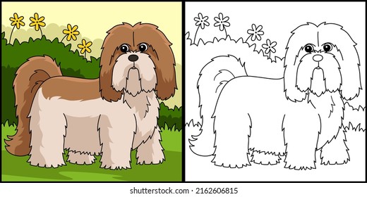 Lhasa Apso Dog Coloring Page Colored Illustration
