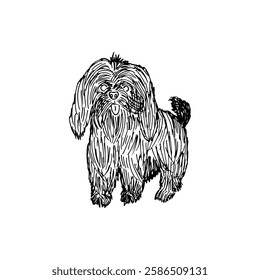 Lhasa Apso doodle cartoon hand-drawn pet dog breed animal vector illustration.