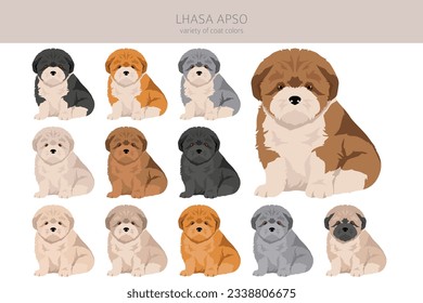 Lhasa Apso puppies clipart. Different poses, coat colors set.  Vector illustration