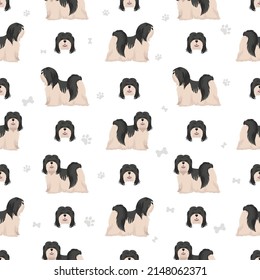 Lhasa Apso seamless pattern. Different poses, coat colors set.  Vector illustration