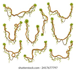 Liana branch set. Twisted wild jungle vine plants. Woody natural tropical rainforest, exotic botany element. Vector design element