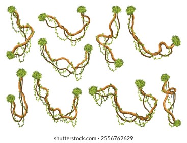 Liana branch set. Twisted wild jungle vine plants. Woody natural tropical rainforest, exotic botany element. Vector design element