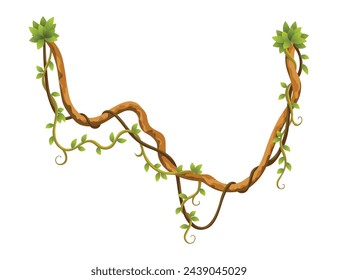 Liana branch. Twisted wild jungle vine plants. Woody natural tropical rainforest, exotic botany element. Vector design element