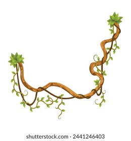 Liana branch. Twisted wild jungle vine plants. Woody natural tropical rainforest, exotic botany element. Vector design element