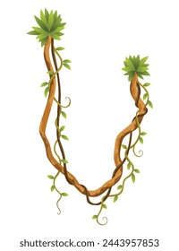 Liana branch. Twisted wild jungle vine plants. Woody natural tropical rainforest, exotic botany element. Vector design element