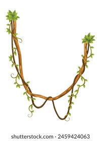 Liana branch. Twisted wild jungle vine plants. Woody natural tropical rainforest, exotic botany element. Vector design element