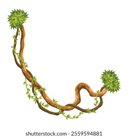 Liana branch. Twisted wild jungle vine plants. Woody natural tropical rainforest, exotic botany element. Vector design element