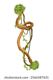 Liana branch. Twisted wild jungle vine plants. Woody natural tropical rainforest, exotic botany element. Vector design element