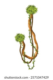 Liana branch. Twisted wild jungle vine plants. Woody natural tropical rainforest, exotic botany element. Vector design element