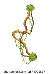 Liana branch. Twisted wild jungle vine plants. Woody natural tropical rainforest, exotic botany element. Vector design element