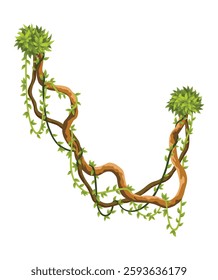 Liana branch. Twisted wild jungle vine plants. Woody natural tropical rainforest, exotic botany element. Vector design element