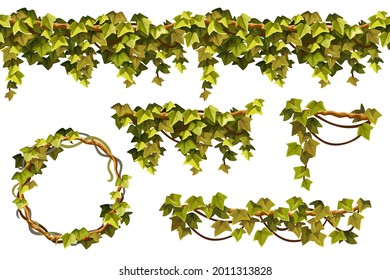 Liana branches, ivy and tropical leaves. Set of creeper jungle. Isolated cartoon vector hedera helix on white background.