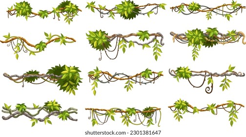 Liana branches, ivy and tropical leaves. Set of creeper jungle. Isolated cartoon vector hedera helix on white background.